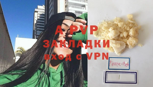 винт Богданович