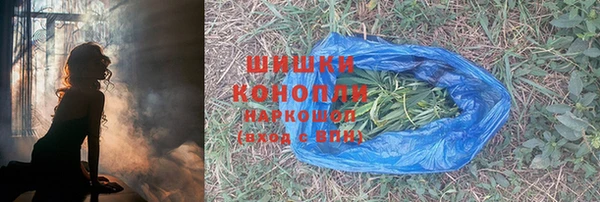 винт Богданович